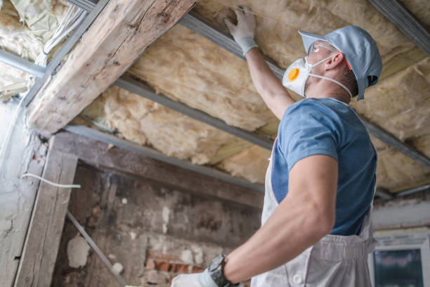 Best Insulation Replacement Services  in Glasgow Village, MO