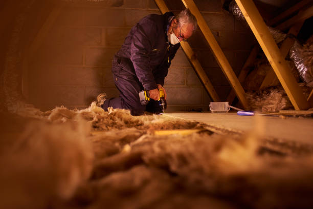 Best Insulation Inspection Services  in Glasgow Village, MO